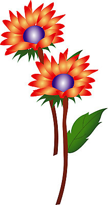 EPS 클립아트 식물 꽃 컬러 일러스트 사람없음 주황색 두송이 국내일러스트 2 파일형식 벡터