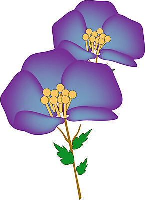 EPS 클립아트 식물 꽃 컬러 일러스트 사람없음 보라색 두송이 국내일러스트 2 파일형식 벡터