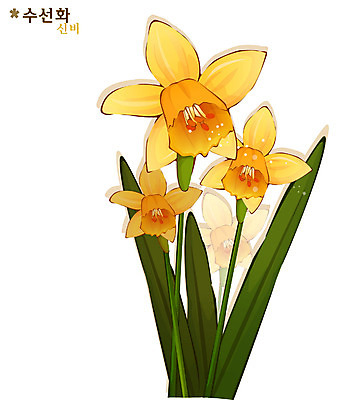 EPS 식물 꽃 컬러 일러스트 자연 사람없음 노란색 겨울꽃 수선화 국내일러스트 겨울 생태계 파일형식 벡터