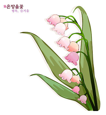 EPS 식물 꽃 일러스트 봄꽃 자연 사람없음 컬러풀 은방울꽃 초롱꽃 국내일러스트 컬러 봄 생태계 파일형식 벡터