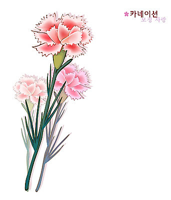 EPS 식물 꽃 분홍색 일러스트 여름꽃 자연 사람없음 카네이션 국내일러스트 컬러 생태계 파일형식 벡터 여름_계절