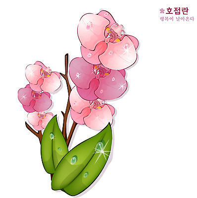 EPS 식물 꽃 분홍색 일러스트 자연 사람없음 난초 호접란 국내일러스트 컬러 생태계 파일형식 벡터