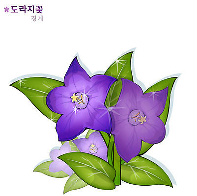 EPS 식물 꽃 컬러 일러스트 여름꽃 자연 사람없음 보라색 도라지꽃 국내일러스트 생태계 파일형식 벡터 여름_계절