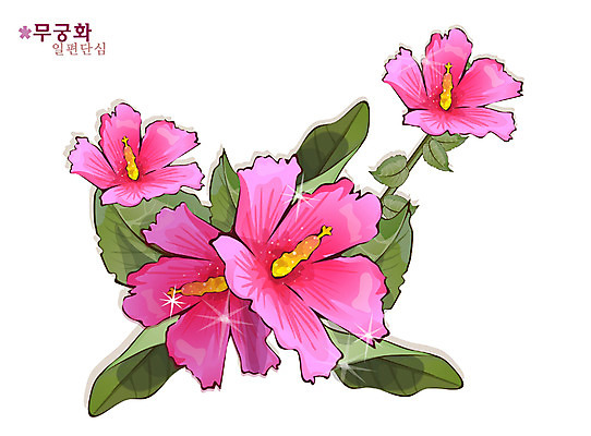 EPS 식물 꽃 분홍색 일러스트 자연 가을꽃 사람없음 무궁화 국내일러스트 컬러 생태계 파일형식 벡터 가을_계절