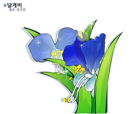 EPS 식물 꽃 컬러 일러스트 여름꽃 자연 사람없음 파란색 들꽃 달개비 닭의장풀 국내일러스트 생태계 파일형식 벡터 여름_계절