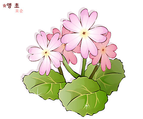 EPS 식물 꽃 분홍색 일러스트 봄꽃 자연 사람없음 앵초 국내일러스트 컬러 봄 생태계 파일형식 벡터