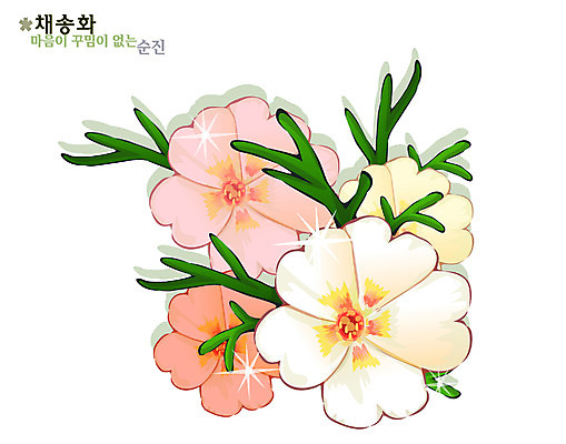 EPS 식물 꽃 일러스트 여름꽃 자연 사람없음 컬러풀 채송화 국내일러스트 컬러 생태계 파일형식 벡터 여름_계절