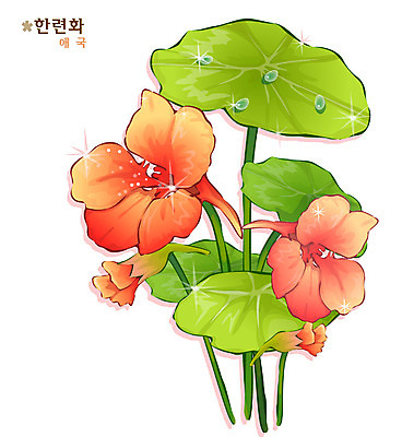 EPS 식물 꽃 컬러 일러스트 자연 사람없음 주황색 들꽃 진홍색 한련화 국내일러스트 빨간색 생태계 파일형식 벡터