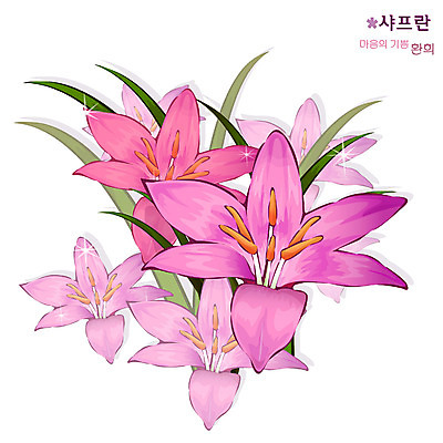 EPS 식물 꽃 분홍색 일러스트 자연 사람없음 들꽃 사프란 국내일러스트 컬러 향신료 생태계 파일형식 벡터