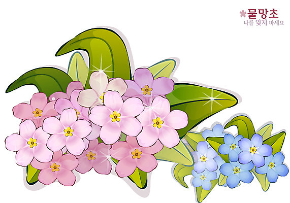 EPS 식물 분홍색 컬러 일러스트 봄꽃 자연 사람없음 파란색 꽃말 물망초 국내일러스트 꽃 봄 생태계 파일형식 벡터