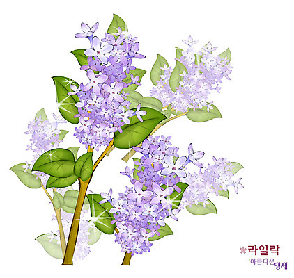 EPS 식물 꽃 컬러 일러스트 봄꽃 자연 사람없음 보라색 꽃말 라일락 국내일러스트 봄 생태계 파일형식 벡터