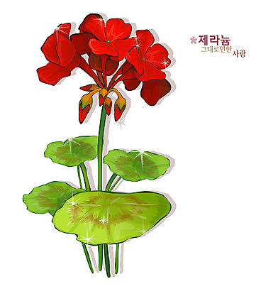 EPS 식물 꽃 컬러 일러스트 여름꽃 자연 사람없음 빨간색 꽃말 제라늄 국내일러스트 생태계 파일형식 벡터 여름_계절