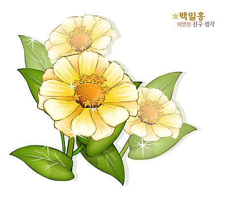 EPS 식물 꽃 컬러 일러스트 여름꽃 자연 사람없음 노란색 꽃말 백일홍 국내일러스트 생태계 파일형식 벡터 여름_계절