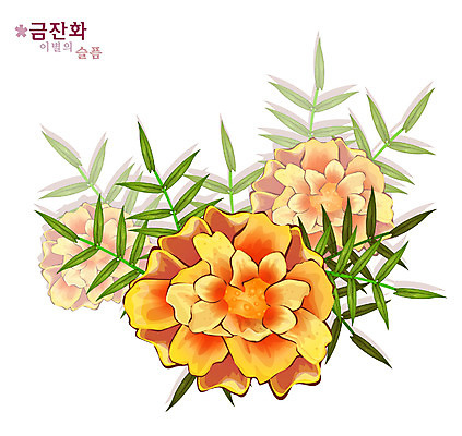 EPS 식물 꽃 컬러 일러스트 여름꽃 자연 사람없음 노란색 꽃말 금잔화 국내일러스트 생태계 파일형식 벡터 여름_계절