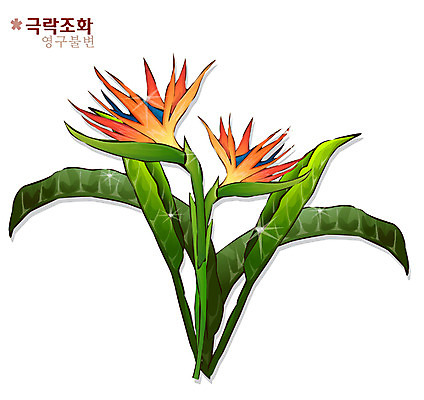 EPS 식물 꽃 컬러 일러스트 자연 사람없음 주황색 꽃말 극락조화 국내일러스트 생태계 파일형식 벡터