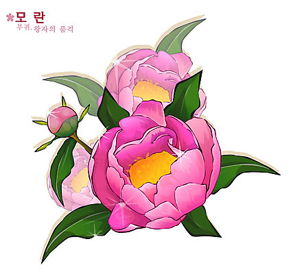 EPS 식물 꽃 분홍색 일러스트 봄꽃 자연 사람없음 꽃말 모란 국내일러스트 컬러 봄 생태계 파일형식 벡터