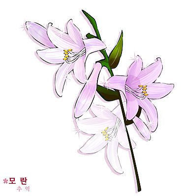 EPS 식물 꽃 분홍색 일러스트 봄꽃 자연 사람없음 꽃말 모란 옥잠화 국내일러스트 컬러 봄 생태계 파일형식 벡터