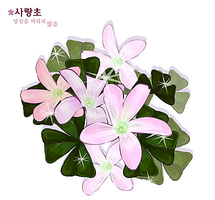 EPS 식물 꽃 분홍색 일러스트 여름꽃 자연 사람없음 꽃말 사랑초 국내일러스트 컬러 생태계 파일형식 벡터 여름_계절