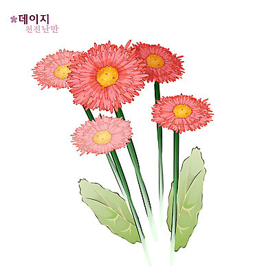 EPS 식물 꽃 컬러 일러스트 여름꽃 자연 사람없음 빨간색 데이지 꽃말 국내일러스트 생태계 파일형식 벡터 여름_계절