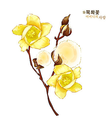 EPS 식물 꽃 컬러 일러스트 여름꽃 자연 사람없음 노란색 솜 꽃말 목화꽃 국내일러스트 생태계 파일형식 벡터 여름_계절