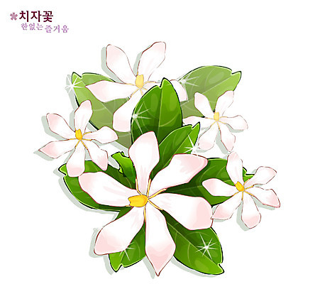 EPS 식물 꽃 일러스트 자연 사람없음 흰색 치자 치자꽃 치자나무 국내일러스트 나무 컬러 한약재 생태계 파일형식 벡터