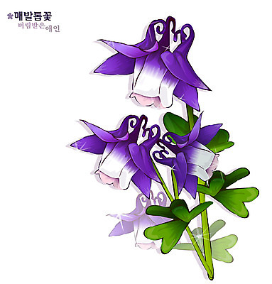 EPS 식물 꽃 컬러 일러스트 봄꽃 자연 사람없음 보라색 꽃말 매발톱꽃 국내일러스트 봄 생태계 파일형식 벡터