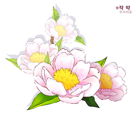 EPS 식물 꽃 분홍색 백그라운드 일러스트 봄꽃 자연 사람없음 꽃말 작약 국내일러스트 컬러 봄 생태계 파일형식 벡터