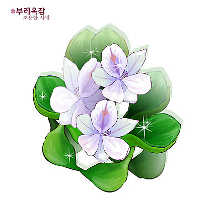 EPS 식물 꽃 컬러 일러스트 자연 사람없음 보라색 꽃말 부레옥잠 국내일러스트 생태계 파일형식 벡터