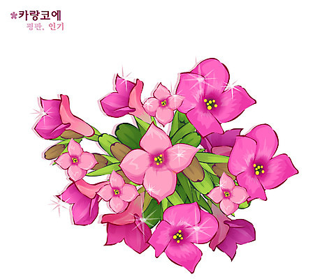 EPS 식물 꽃 분홍색 일러스트 자연 사람없음 꽃말 카랑코에 국내일러스트 컬러 생태계 파일형식 벡터