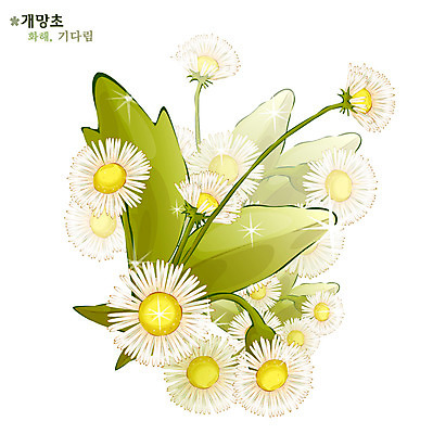 EPS 식물 꽃 일러스트 여름꽃 자연 사람없음 흰색 꽃말 개망초 국내일러스트 컬러 생태계 파일형식 벡터 여름_계절