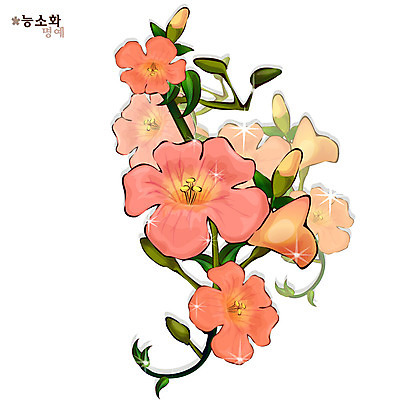 EPS 식물 꽃 컬러 일러스트 여름꽃 자연 사람없음 빨간색 꽃말 능소화 국내일러스트 생태계 파일형식 벡터 여름_계절