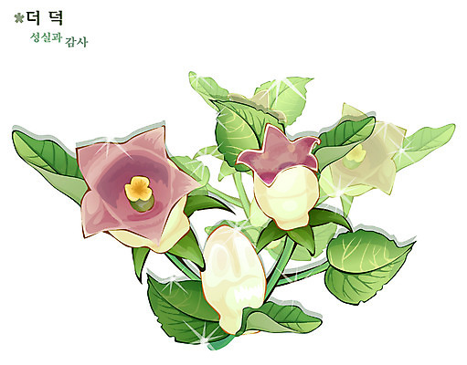 EPS 식물 꽃 컬러 일러스트 자연 사람없음 보라색 꽃말 더덕 국내일러스트 생태계 파일형식 벡터