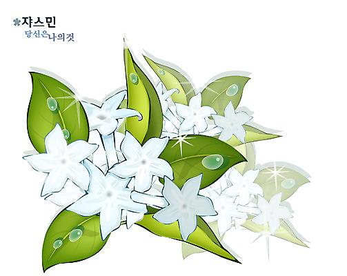 EPS 식물 꽃 일러스트 자연 사람없음 흰색 꽃말 재스민 국내일러스트 컬러 생태계 파일형식 벡터