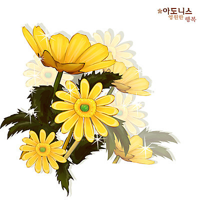 EPS 식물 꽃 컬러 일러스트 자연 사람없음 노란색 겨울꽃 복수초 아도니스 국내일러스트 겨울 생태계 파일형식 벡터