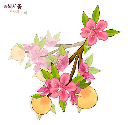 EPS 식물 꽃 분홍색 일러스트 봄꽃 자연 사람없음 꽃말 복사꽃 국내일러스트 컬러 봄 생태계 파일형식 벡터