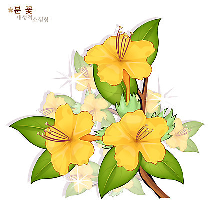 EPS 식물 꽃 컬러 일러스트 여름꽃 자연 사람없음 노란색 분꽃 국내일러스트 생태계 파일형식 벡터 여름_계절