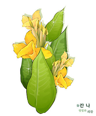 EPS 식물 꽃 컬러 일러스트 여름꽃 자연 사람없음 노란색 꽃말 칸나 국내일러스트 생태계 파일형식 벡터 여름_계절