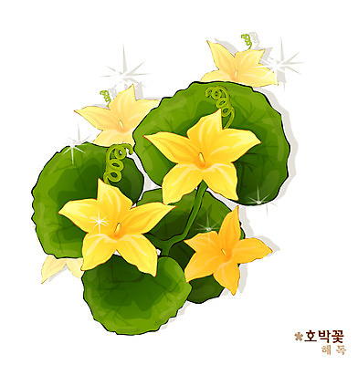 EPS 식물 꽃 컬러 일러스트 여름꽃 자연 사람없음 노란색 꽃말 호박꽃 국내일러스트 생태계 파일형식 벡터 여름_계절