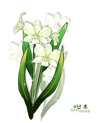 EPS 식물 꽃 일러스트 자연 사람없음 흰색 난초 꽃말 국내일러스트 컬러 생태계 파일형식 벡터