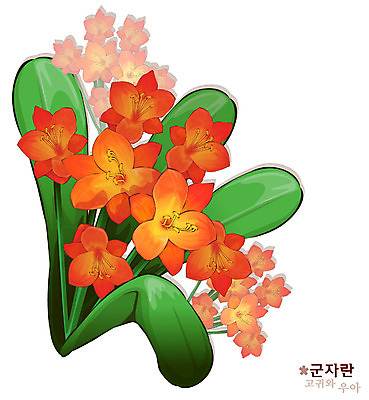 EPS 식물 꽃 컬러 일러스트 자연 사람없음 주황색 꽃말 군자란 국내일러스트 생태계 파일형식 벡터