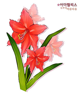 EPS 식물 꽃 컬러 일러스트 봄꽃 자연 사람없음 빨간색 꽃말 아마릴리스 국내일러스트 봄 생태계 파일형식 벡터