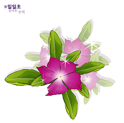 EPS 식물 꽃 컬러 일러스트 자연 사람없음 보라색 꽃말 국내일러스트 생태계 파일형식 벡터