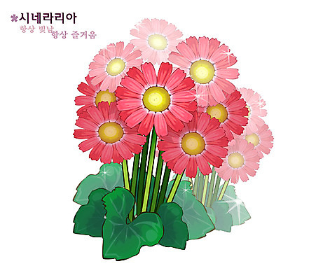 EPS 식물 꽃 컬러 일러스트 자연 사람없음 빨간색 꽃말 겨울꽃 시네라리아 국내일러스트 겨울 생태계 파일형식 벡터