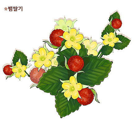 EPS 식물 꽃 컬러 일러스트 봄꽃 자연 사람없음 빨간색 노란색 꽃말 뱀딸기 국내일러스트 봄 생태계 파일형식 벡터