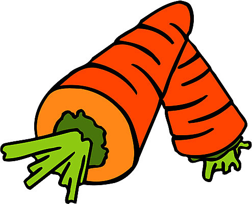 EPS 식물 음식 컬러 채소 일러스트 식재료 사람없음 농작물 주황색 당근 두개 국내일러스트 2 농업 뿌리채소 파일형식 벡터