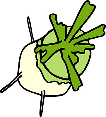 EPS 식물 음식 채소 일러스트 식재료 사람없음 농작물 한개 무 국내일러스트 1 농업 뿌리채소 파일형식 벡터