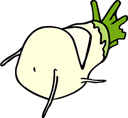 EPS 식물 음식 채소 일러스트 식재료 사람없음 농작물 한개 무 국내일러스트 1 농업 뿌리채소 파일형식 벡터