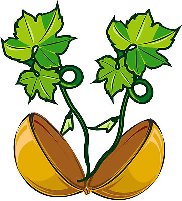 EPS 클립아트 식물 잎 일러스트 동화 전래동화 사람없음 균열 덩굴 박 국내일러스트 모션 파일형식 벡터