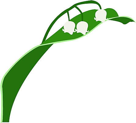EPS 클립아트 식물 꽃 컬러 일러스트 봄꽃 자연 사람없음 흰색 은방울꽃 방울꽃 국내일러스트 봄 생태계 파일형식 벡터