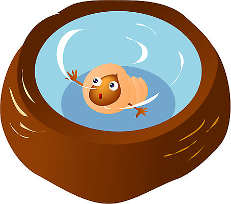 EPS 클립아트 동물 캐릭터 한마리 한국문화 한국전통 일러스트 동화 전통캐릭터 연체동물 전래동화 이야기 사람없음 물 항아리 물동이 우렁각시 우렁이 일러캐릭터 자연요소 1 동양문화 전통 무척추동물 한국 도자기 파일형식 벡터